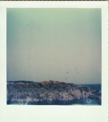 5.pic_hd