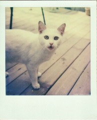 6.pic_hd