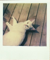 12.pic_hd