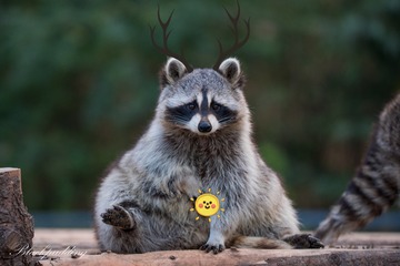 001
