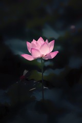6D9A6543-44DF-4A3A-8A2A-C92543B58933/L0/001