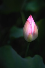 D8A0884D-D033-42A7-9219-D08FDB3D3E19/L0/001