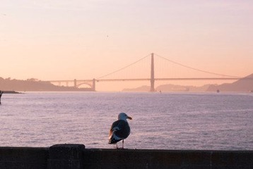 DSC_1557-tie.jpg