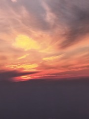 1000039874
