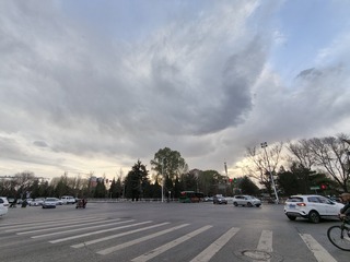 1000016310