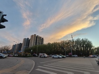 1000016819