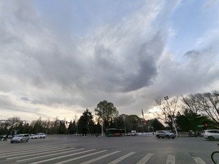 1000016311