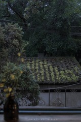 雨天窗外