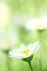 IMG_4368.jpg