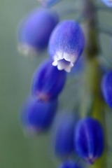 IMG_4505.jpg