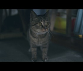 IMG_1332F