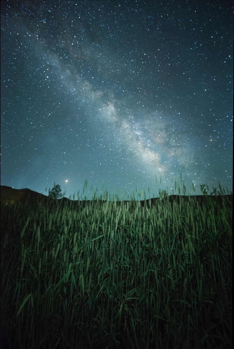 田间地头的星空