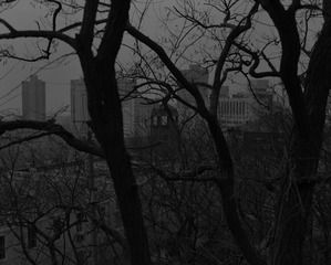 Untitled-5