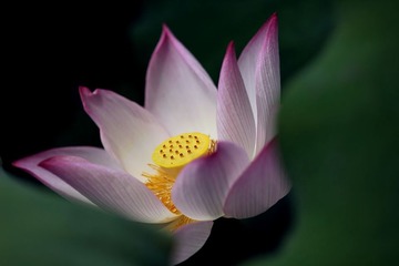 静静的开