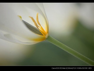 IMG_8432.jpg