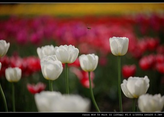 IMG_8773.jpg