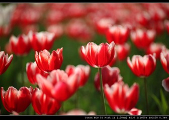 IMG_8756.jpg