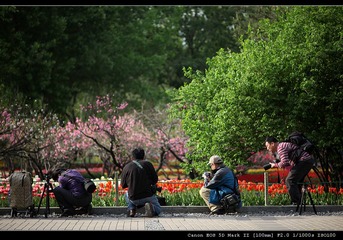 IMG_8839[1].jpg