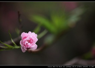IMG_8884.jpg