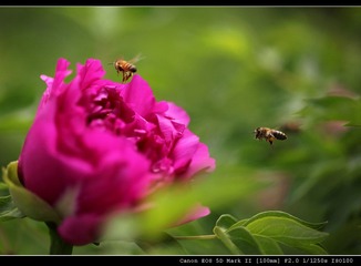 IMG_9122.jpg
