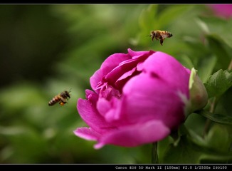 IMG_9195.jpg