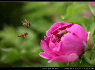IMG_9206.jpg