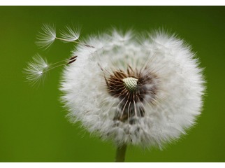 IMG_0658.jpg