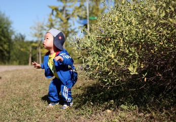 IMG_6498.jpg