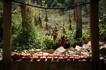 IMG_6455-s.jpg