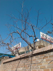 2015-02-06 12.41.26
