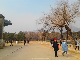 2015-02-04 10.52.49
