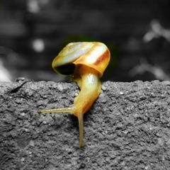WP_20140809_16_08_32_Pro20140809164622