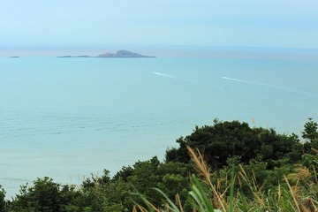 那片海4