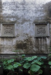 南浔6