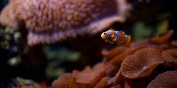 DSC_3397-11.jpg