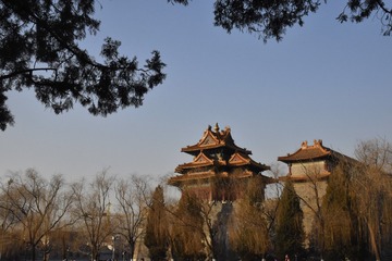 西江23