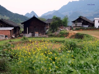 P4232924