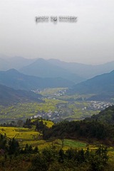 DPP_0083