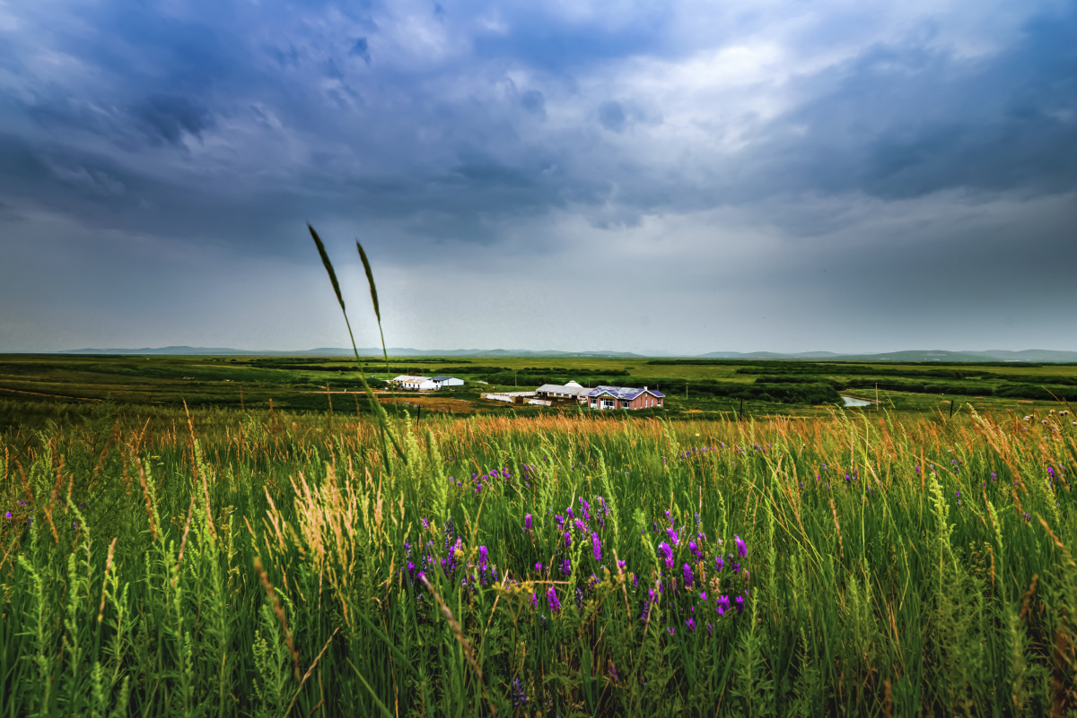 草原深处有人家