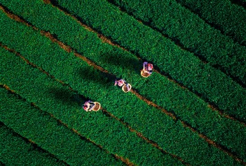 DJI_0918