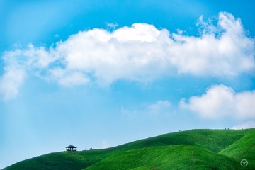 _DSC4875