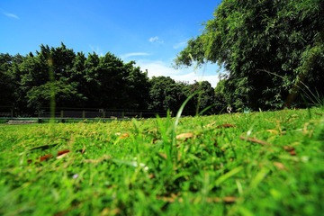 IMG_2616.jpg