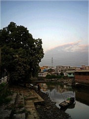 IMGP204256.jpg