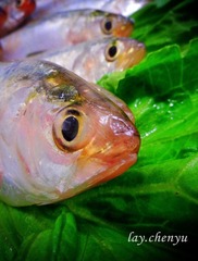 fish