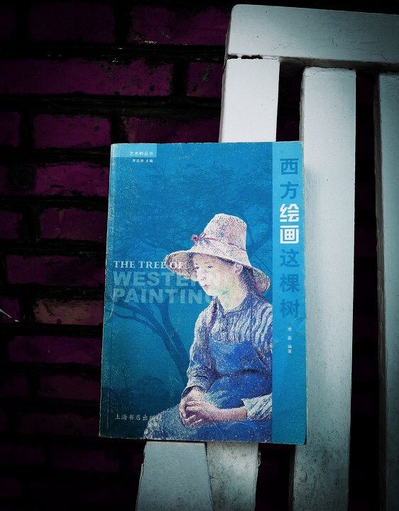 西方绘画<br />
简略讲述了西方绘画,不同时代不同的风格和技艺,重点是文艺复兴时期那些极具才华及个性的大师的作品,新古典,浪漫,现实,印象,巴洛克,洛可可,却少了达达,还有喜欢的画家莫迪里阿尼及契里柯。本人不懂绘画只是闲来翻翻,符合个人感觉就喜欢<br />
<br />