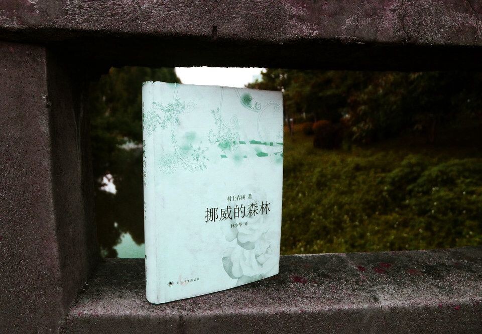 挪威的森林<br />
喜欢在西方各种小酒馆里听爵士乐的东方男人----村上春树,他的才情也是小酒馆蕴酿出的,这部作品也是,他那细腻的文字,如同小手般扶摸你的肌肤,曼妙,隐晦却无法抗拒。这段度边君与直子的爱是正常世界与不正常世界的桥梁,或是生与死的连结线。青春的躁动与不安仍至放纵,疯狂,整本书透出灰色死亡的气息,将你层层包住,直至心灵最底层的孤独。