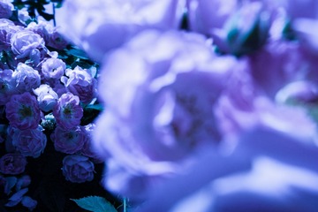 B98901EC-B0F2-49C4-9BB3-1A2D2D11CC5B/L0/001
