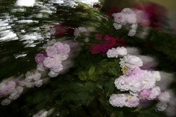 A93E82DF-E51F-4361-9AAC-E3D94DFE0FF4/L0/001