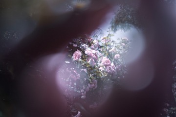 F521F5EC-751F-4871-85D9-F3F8FCF6814E/L0/001