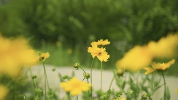 3BFBCF4A-DB1B-40F4-A55C-01AD65617068/L0/001